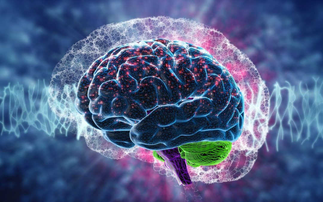 🌟DESCUBRE de dónde saca TU CEREBRO LA GLUCOSA QUE NECESITA ¿Qué hace tu cerebro si NO HAY AZÚCAR?